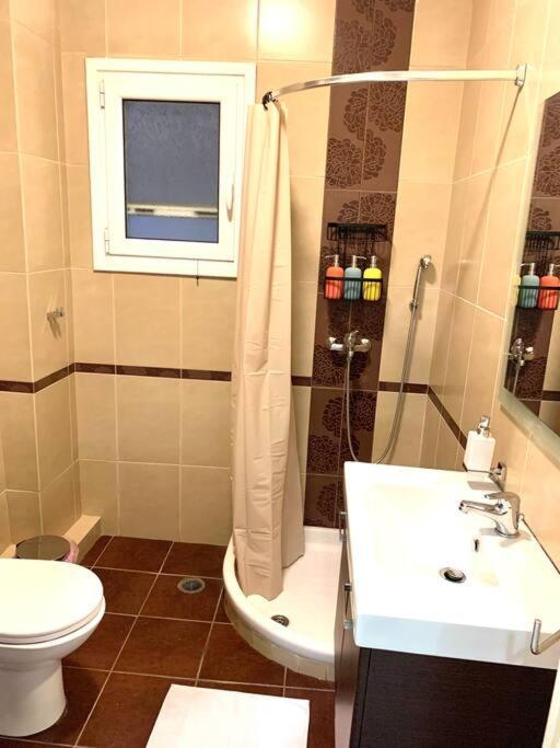 Spacious 4-Bedroom Family Home, 100M From Metro 雅典 外观 照片